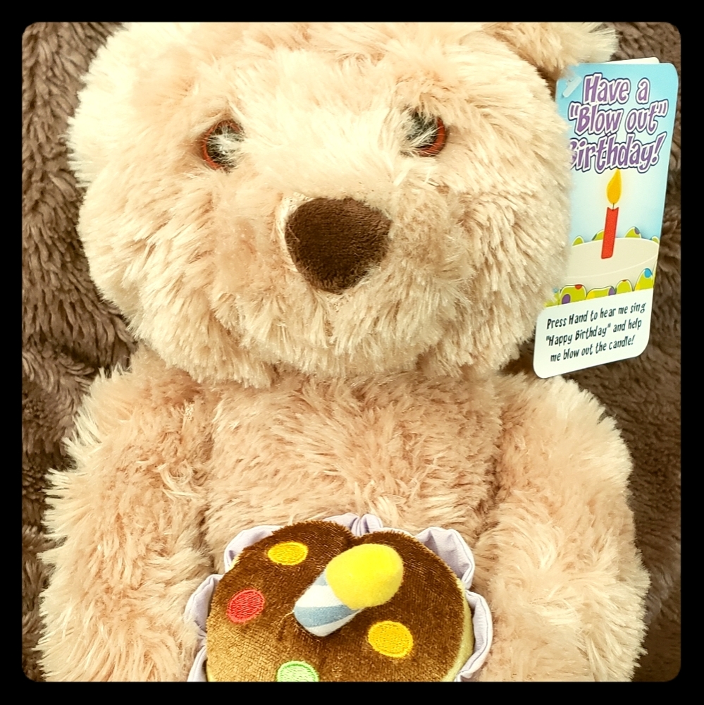 Gund Musical talking Birthday bear.